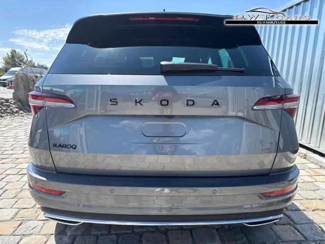 Skoda / Karoq / Grau / / / , Beispielbilder, ggf. teilweise mit Sonderausstattung