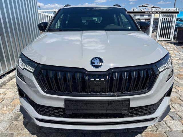 Skoda / Karoq / Grau / / / , Beispielbilder, ggf. teilweise mit Sonderausstattung