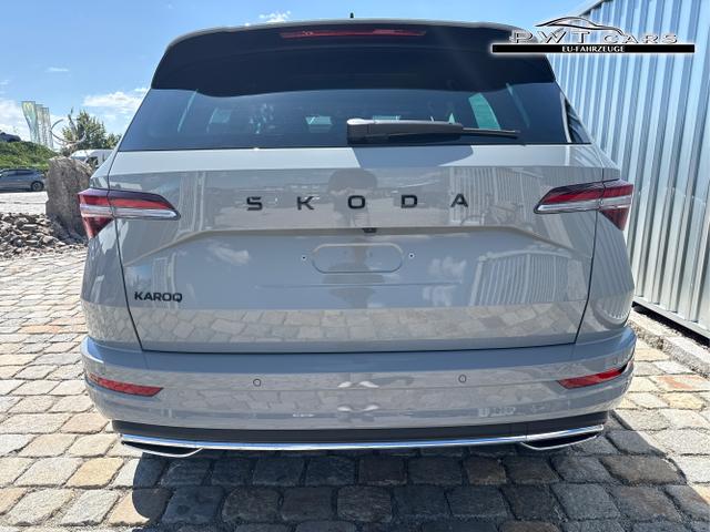 Skoda / Karoq / Grau / / / , Beispielbilder, ggf. teilweise mit Sonderausstattung