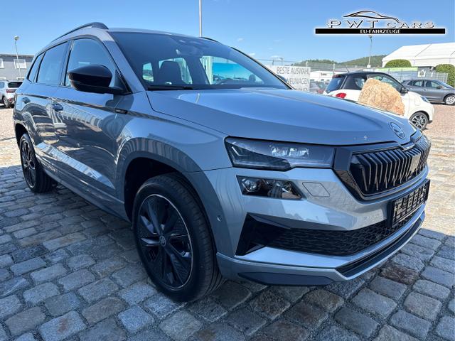 Skoda / Karoq / Grau / / / , Beispielbilder, ggf. teilweise mit Sonderausstattung