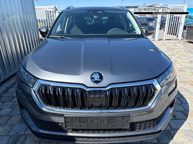 Skoda / Karoq / Grau / / / , Beispielbilder, ggf. teilweise mit Sonderausstattung