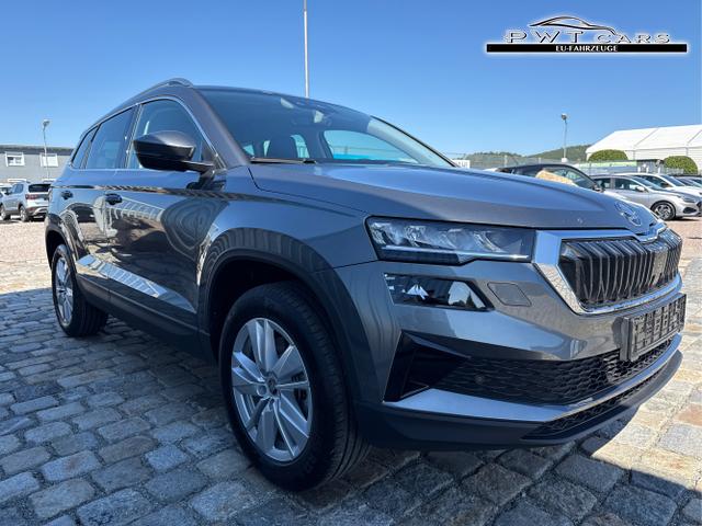 Skoda / Karoq / Grau / / / , Beispielbilder, ggf. teilweise mit Sonderausstattung