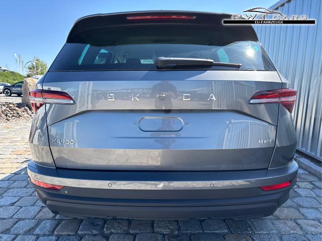 Skoda / Karoq / Grau / / / , Beispielbilder, ggf. teilweise mit Sonderausstattung
