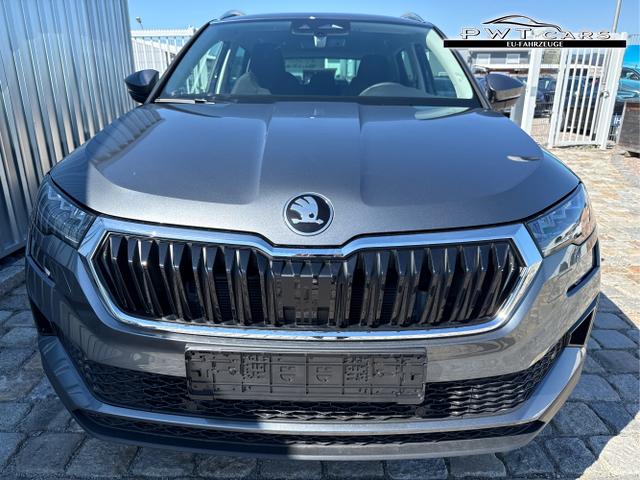 Skoda / Karoq / Grau / / / , Beispielbilder, ggf. teilweise mit Sonderausstattung