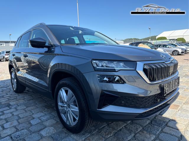 Skoda / Karoq / Grau / / / , Beispielbilder, ggf. teilweise mit Sonderausstattung