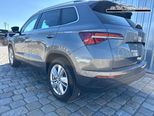 Skoda / Karoq / Grau / / / , Beispielbilder, ggf. teilweise mit Sonderausstattung