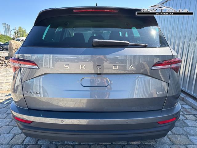 Skoda / Karoq / Grau / / / , Beispielbilder, ggf. teilweise mit Sonderausstattung