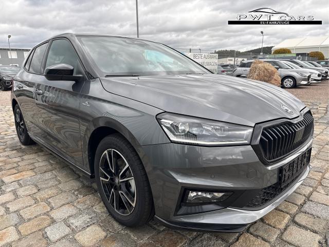 Skoda / Fabia / Grau / / / 