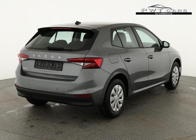 Skoda Fabia Selection 1.0 TSI Selection, Tempomat, Park, Winterpaket, SmartLink, 4-J Garantie 