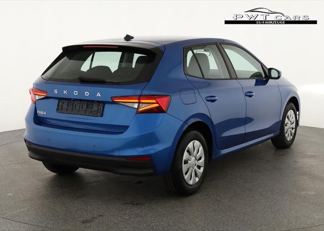 Skoda Fabia Selection 1.0 TSI Selection, Tempomat, Park, Winterpaket, SmartLink, 4-J Garantie 