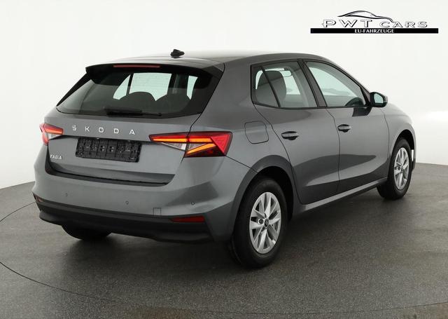 Skoda Fabia Selection 1.0 MPI 130 Jahre, Kamera, Winter, 15-Zoll, Park 