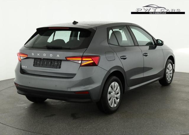 Skoda Fabia Selection 1.0 TSI Selection, Park, Winterpaket, SmartLink, 4-J Garantie 