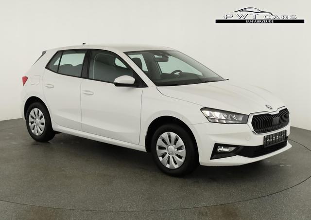 Skoda Fabia Selection 1.0 TSI Selection, Ladeboden, Park, Winterpaket, SmartLink, 4-J Garantie 