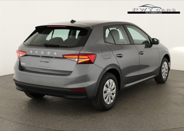 Skoda Fabia Selection 1.0 TSI Selection, Tempomat, Park, Winterpaket, SmartLink, 4 J.-Garantie 
