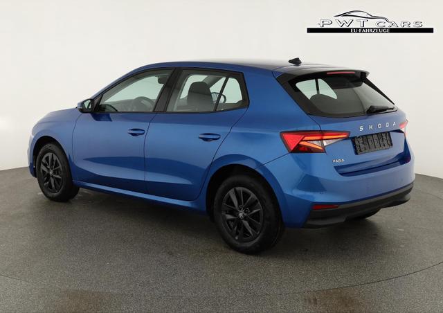 Skoda Fabia Selection 1.0 TSI Selection, LED, Kamera, Winter, 5 J.-Garantie 