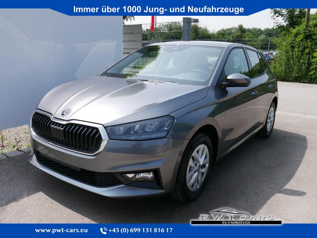 Skoda Fabia - 130 Jahre 1,0 MPI*LED*PDC HI.*RFK*APP-CONNECT*SHZ*KESSY*KLIMA*DAB*