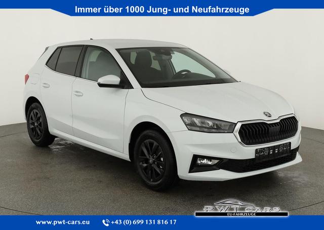 Skoda Fabia - Selection 1.0 TSI Selection, 15-Zoll schwarz, Winter, Ladeboden