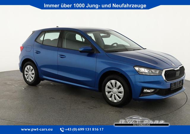 Skoda Fabia - Selection 1.0 TSI Selection, Ladeboden, Park, Winterpaket, SmartLink, 4-J Garantie