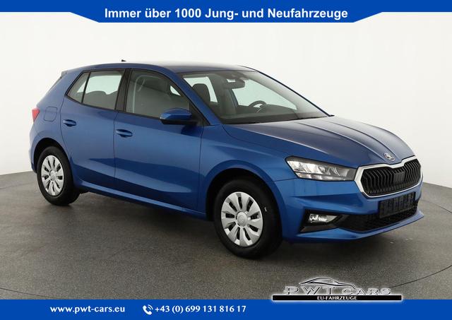 Skoda Fabia - Selection 1.0 TSI Selection, Tempomat, Ladeboden, Park, Winterpaket, SmartLink, 4-J Garantie