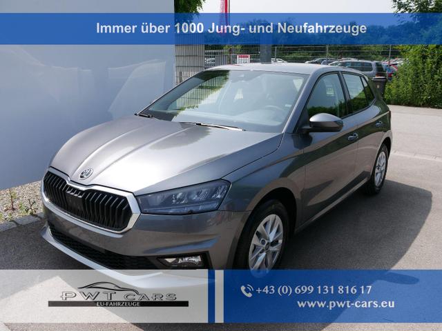 Skoda Fabia - 130 Jahre 1,0 MPI*LED*PDC HI.*RFK*APP-CONNECT*SHZ*KESSY*KLIMA*DAB*