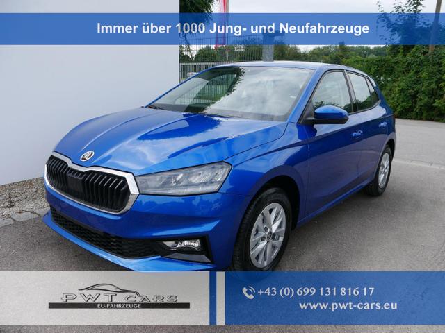 Skoda Fabia - PREMIUN EDITION 130 JAHRE 1,0 TSI *SMARTLINK*PDC*KAMERA*LED*SHZ* 15 ZOLL