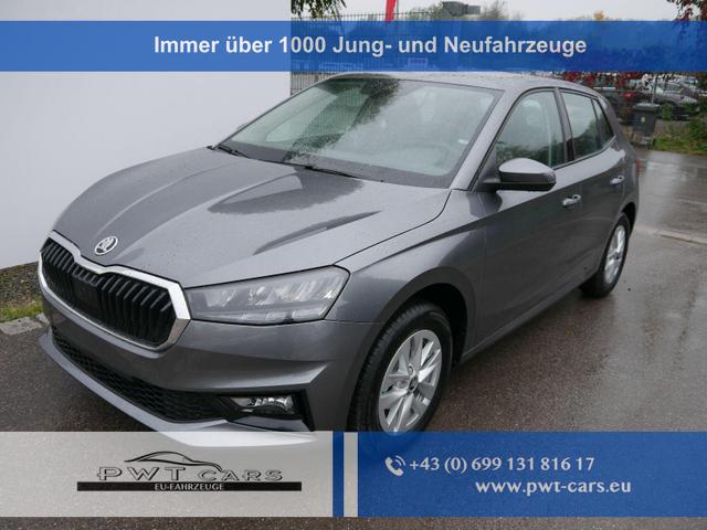 Skoda Fabia - Selection 130 Jahre Plus 1,0 TSI*LED*PDC-HI-KAMERA*SMARTLINK*TEMPOMAT*KLIMA*SHZ