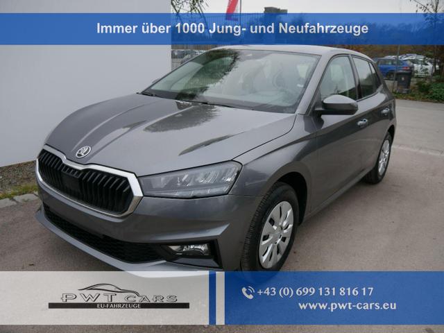 Skoda Fabia - Selection 1.0 TSI DSG*NAVI-ÜBER-SMARTLINK*LED*PDC-HI*SHZ*DAB*KLIMA