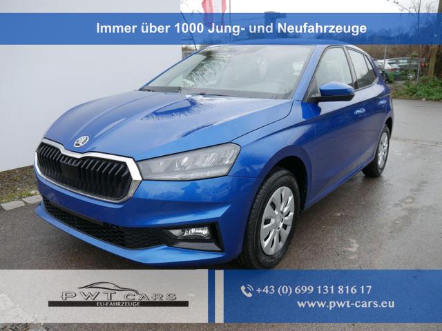 Skoda Fabia - Selection 1.0 TSI DSG*NAVI-ÜBER-SMARTLINK*LED*PDC-HI*SHZ*DAB*KLIMA