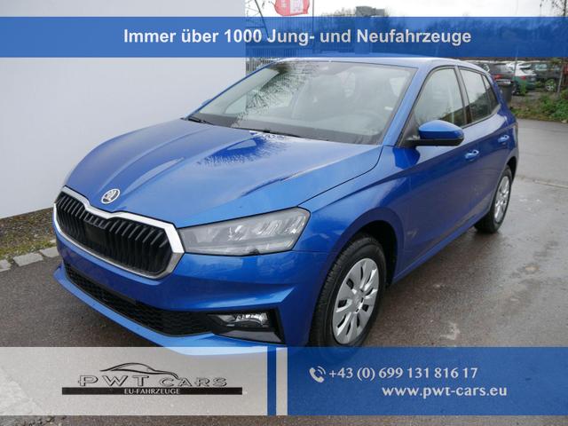 Skoda Fabia - Selection 1.0 TSI DSG*NAVI-ÜBER-SMARTLINK*LED*PDC-HI*SHZ*DAB*KLIMA