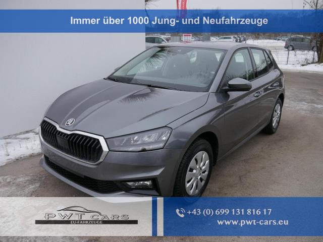 Skoda Fabia - Selection 1.0 TSI DSG*NAVI-&Uuml;BER-SMARTLINK*LED*PDC-HI*SHZ*DAB*KLIMA