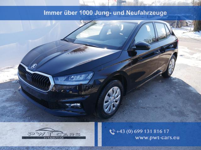 Skoda Fabia - Selection 1.0 TSI DSG*NAVI-&Uuml;BER-SMARTLINK*LED*PDC-HI*SHZ*DAB*KLIMA