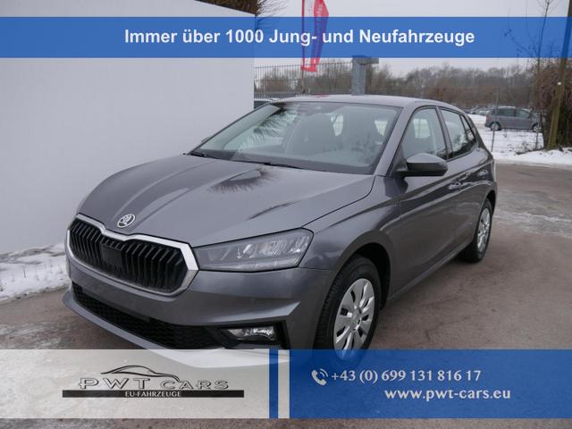 Skoda Fabia - Selection 1.0 TSI DSG*NAVI-&Uuml;BER-SMARTLINK*LED*PDC-HI*SHZ*DAB*KLIMA