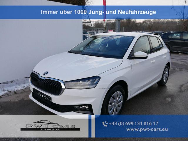 Skoda Fabia - Selection 1.0 TSI *NAVI-&Uuml;BER-SMARTLINK*PDC-HI*LED*SHZ*KLIMA*RADIO