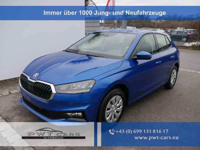 Skoda Fabia - Selection 1.0 TSI *NAVI-&Uuml;BER-SMARTLINK*PDC-HI*LED*SHZ*KLIMA*RADIO