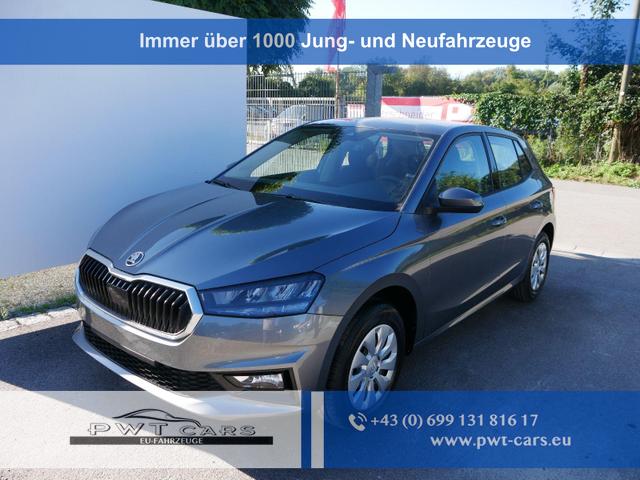 Skoda Fabia - Selection 1.0 TSI *NAVI-&Uuml;BER-SMARTLINK*PDC-HI*LED*SHZ*KLIMA*RADIO