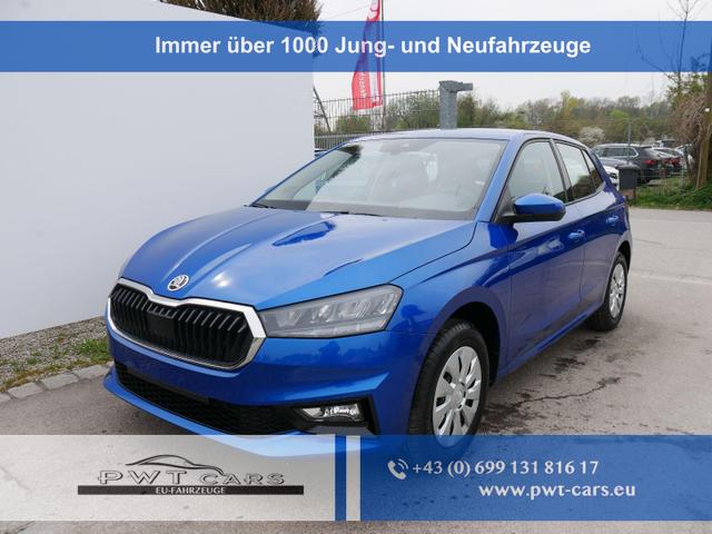 Skoda Fabia - Selection 1.0 TSI DSG*NAVI-&Uuml;BER-SMARTLINK*LED*PDC-HI*SHZ*DAB*KLIMA