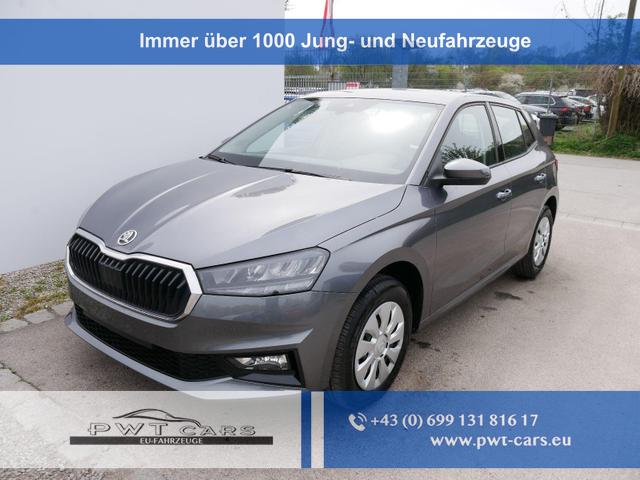 Skoda Fabia - Selection 1.0 TSI DSG*NAVI-&Uuml;BER-SMARTLINK*LED*PDC-HI*SHZ*DAB*KLIMA
