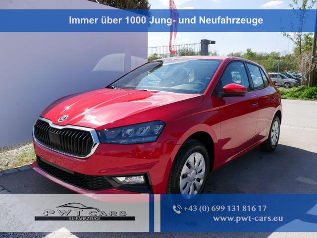 Skoda Fabia - Selection 1.0 TSI DSG*NAVI-&Uuml;BER-SMARTLINK*LED*PDC-HI*SHZ*DAB*KLIMA