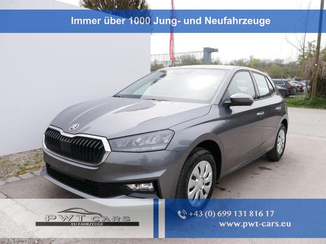 Skoda Fabia - Selection 1.0 TSI DSG*NAVI-&Uuml;BER-SMARTLINK*LED*PDC-HI*SHZ*DAB*KLIMA