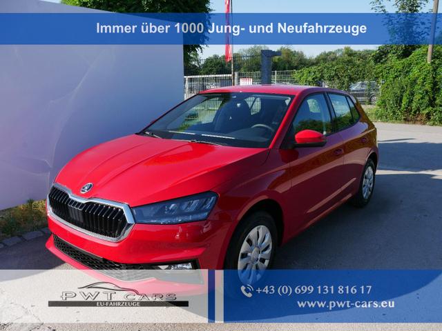 Skoda Fabia - Selection 1.0 TSI *NAVI-&Uuml;BER-SMARTLINK*PDC-HI*LED*SHZ*KLIMA*RADIO