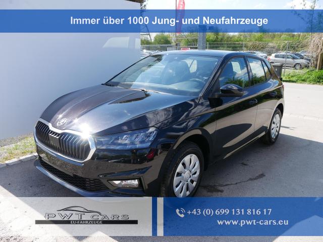 Skoda Fabia - Selection 1.0 TSI DSG*NAVI-&Uuml;BER-SMARTLINK*LED*PDC-HI*SHZ*DAB*KLIMA