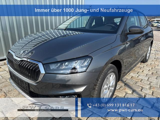 Skoda Fabia - Sondermodell 130 Jahre Selection Plus 1.0 TSI 85kW/116 PS -DSG-AppleCarPlay-AndroidAuto-LED-PDC-Kamera-Winterpaket-Sitzheizung-DAB-Klima-Tempomat-ALU 15"-Sofort verf&uuml;gbar