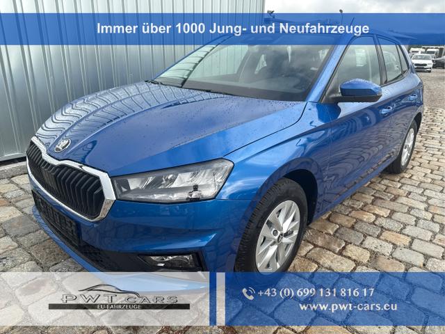 Skoda Fabia - 130 Jahre 1.0 MPI 80 PS-Virtuelles Cockpit-AppleCarplay-Android-Auto-LED-Klima-Tempomat-R&uuml;ckfahrkamera-DAB-SHZ-15" Alu-sofort