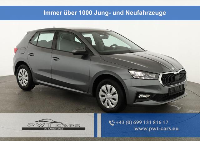 Skoda Fabia - Selection 1.0 TSI Selection, AHK, Tempomat, Ladeboden, Park, Winterpaket, SmartLink, 4-J Garantie
