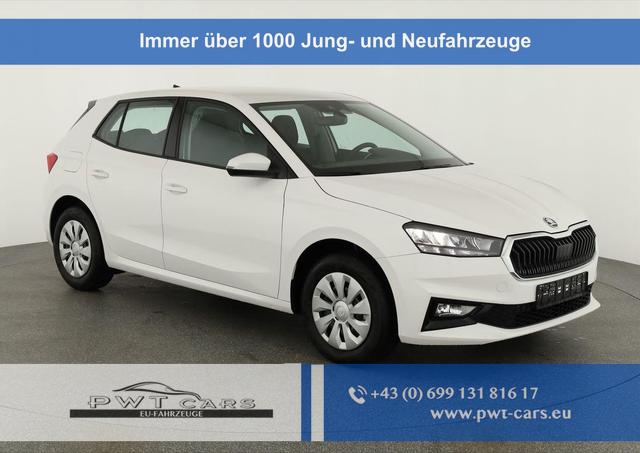 Skoda Fabia - Selection 1.0 TSI Selection, Tempomat, Park, Winterpaket, SmartLink, 4-J Garantie