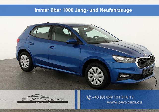 Skoda Fabia - Selection 1.0 TSI Selection, Ladeboden, Park, Winterpaket, SmartLink, 4-J Garantie