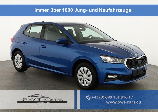 Skoda Fabia - Selection 1.0 TSI Selection, Tempomat, Ladeboden, Park, Winterpaket, SmartLink, 4-J Garantie