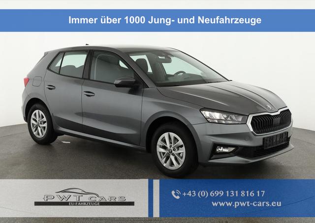 Skoda Fabia - Selection 1.0 MPI 130 Jahre, Kamera, Winter, 15-Zoll, Park