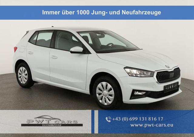 Skoda Fabia - Selection 1.0 TSI Selection, AHK, Tempomat, Ladeboden, Park, Winterpaket, SmartLink, 4-J Garantie