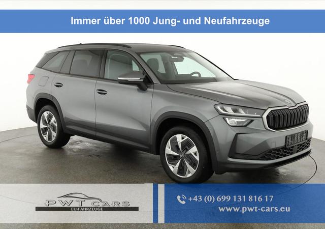 Skoda Kodiaq - 2.0 TDI 142kW 4x4 Selection DSG Selection, AHK, Navi, Side, el. Klappe, AreaView, ParkAssist